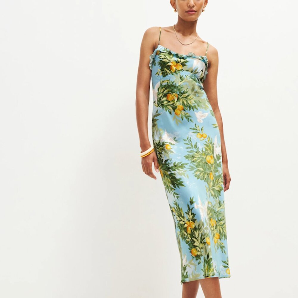 REFORMATION Aribella Silk Dress | Blue, Citrus, Dove Print | Worn-Once | Size XL